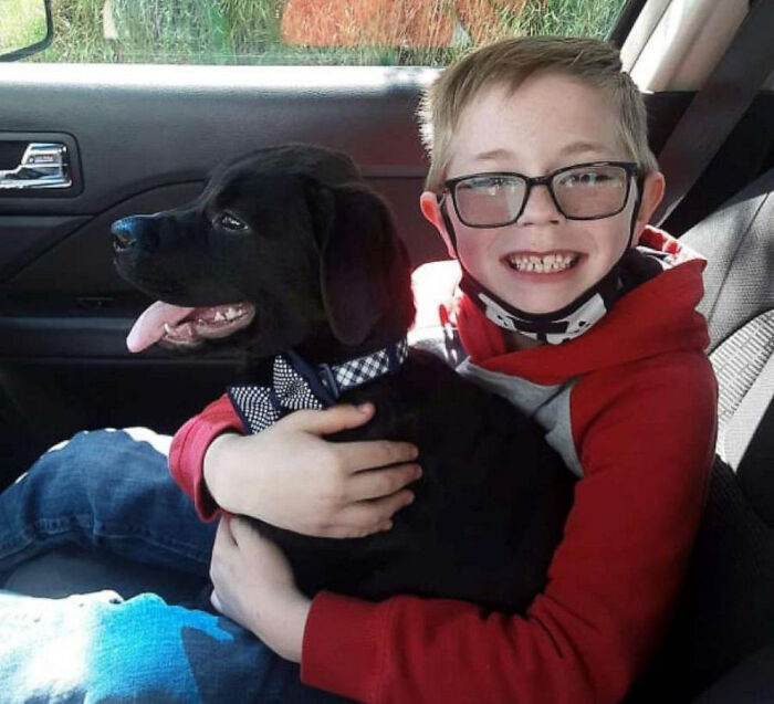 Eight-Year-Old In Virginia Sold His Pokémon Card Collection To Help Pay For His Puppy’s Parvovirus Treatment