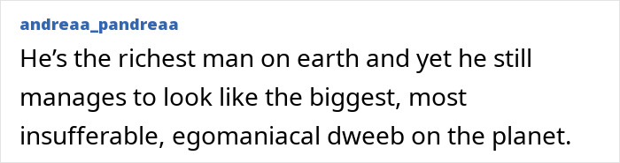 A user comment mocking Elon Musk as an insufferable dweeb despite his wealth.