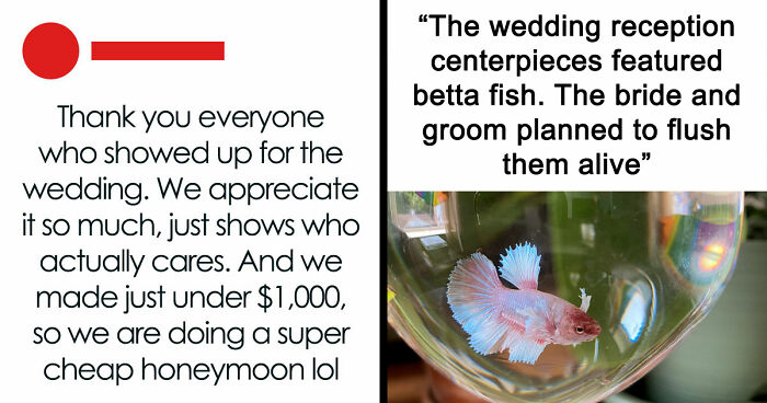 71 Unbelievably Entitled Brides And Grooms Who Took Wedding Demands To Whole New Levels Of Crazy