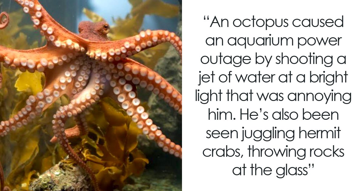 68 Fascinating Photos And Facts That Show Just How Incredible Nature Can Be (New Pics)