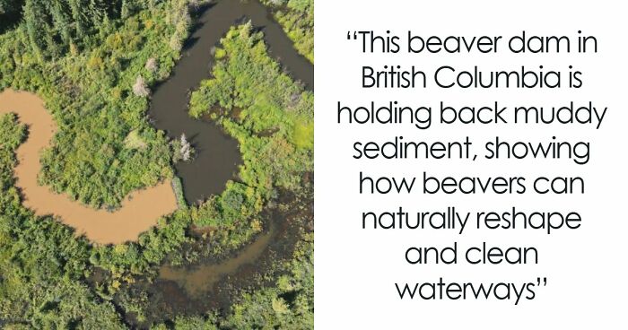 68 Interesting Photos And Facts That Show Mother Nature Has Plenty Of Tricks Up Her Sleeve (New Pics)