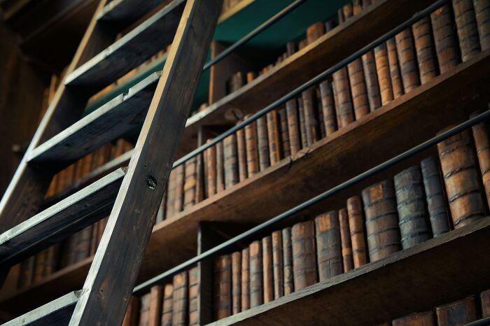A library with a ladder, where one might read about fake friends and haters.