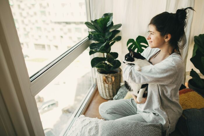 A young woman holding a cat and looking out a window, reflecting on friends who became haters.