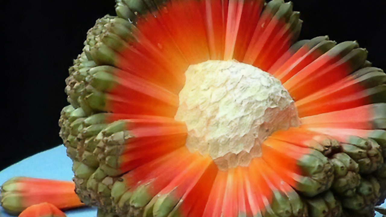 68 Cool, Creepy And Fascinating Facts That Might Surprise You