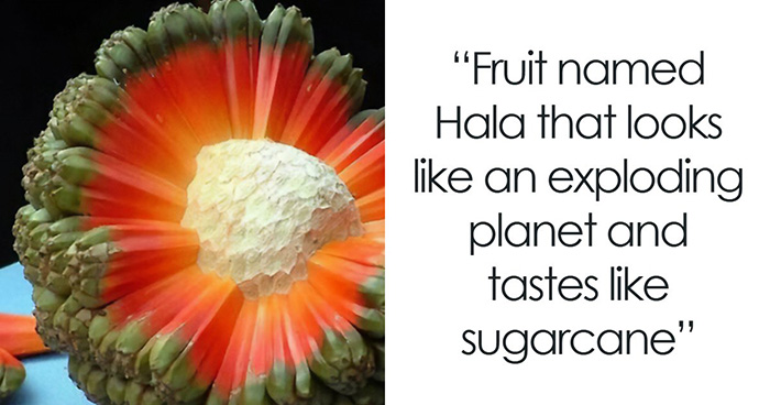 If You Can’t End Your Day Without Learning Something New, Here Are 68 Interesting Facts