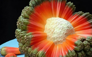 68 Cool, Creepy And Fascinating Facts That Might Surprise You
