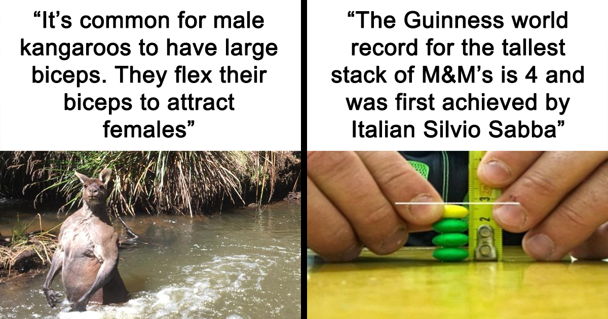 Visualizing Fun Facts 63 Fun Facts That Will Probably Make You Smarter, Happier, And Slightly ...