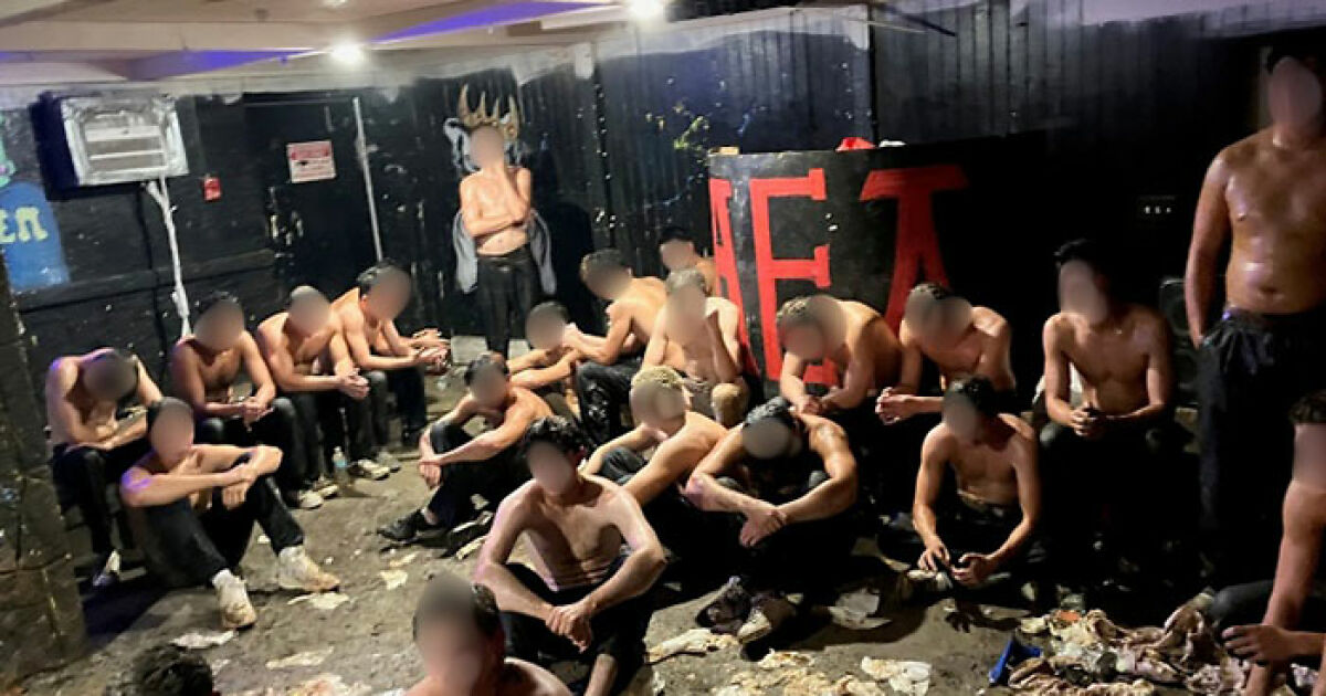 Frat Leaders Arrested After Cops Found Dozens Of Partially Dressed Teens In Dingy Basement In Suspected Hazing Incident