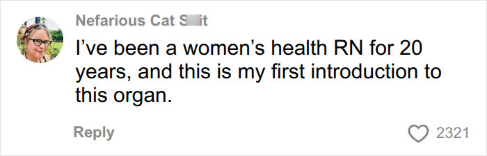 Comment from a women's health nurse about first introduction to the female organ Comment from a women's health nurse about first introduction to the female organ