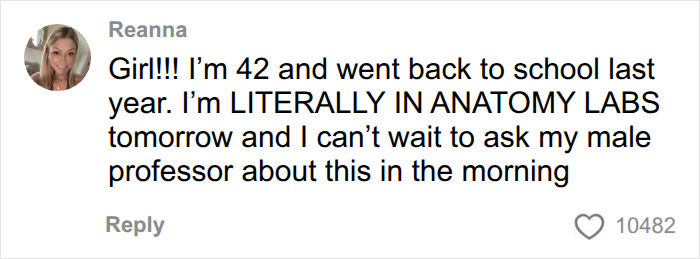 Comment about adult anatomy lab and learning about female anatomy Comment about adult anatomy lab and learning about female anatomy