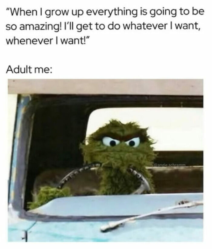 Oscar the Grouch driving, a relatable meme depicting an adult's disillusionment with adulthood.