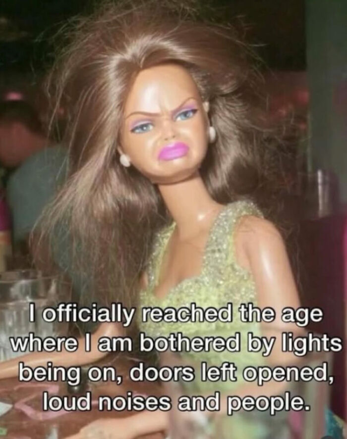 A hilariously relatable meme of a Barbie doll with an annoyed expression, perfect for adults who dont know what theyre doing.