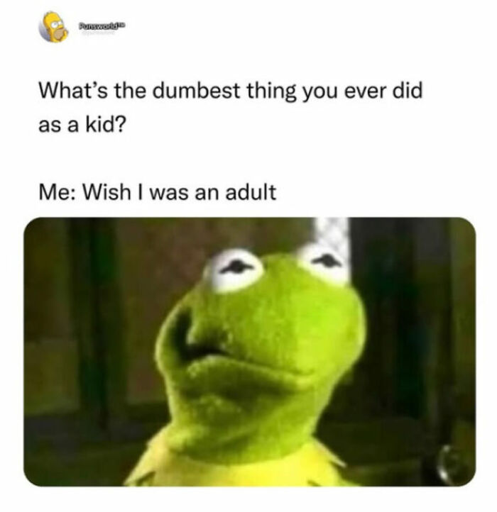 Kermit the Frog looking disappointed, a relatable meme about adults regretting wishing to be grown up.
