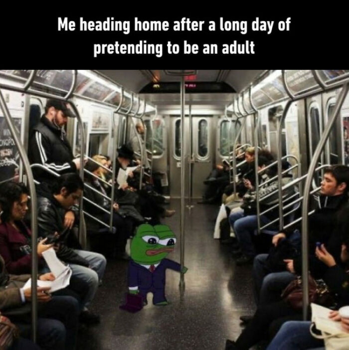 A hilariously relatable meme for adults showing Pepe the frog in a suit on a subway after pretending to be an adult.