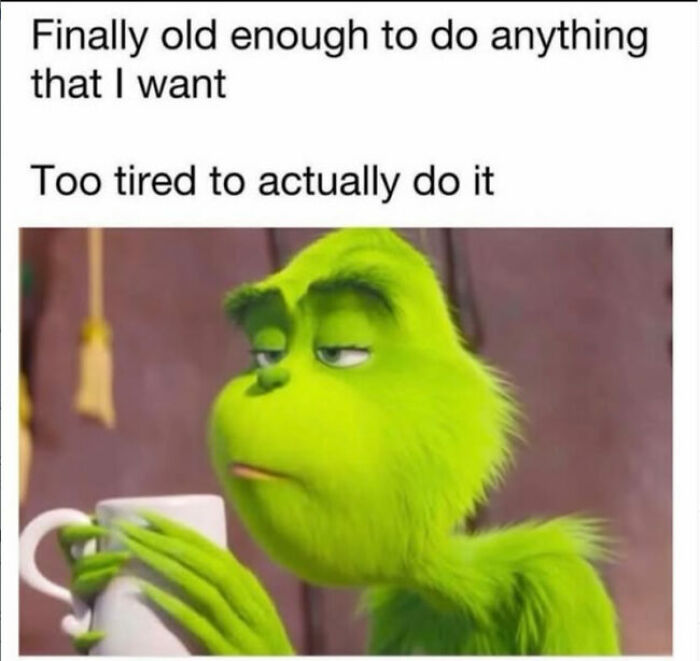 Relatable meme of the Grinch looking tired while holding a mug, reflecting adults who still dont know what theyre doing but are too tired.