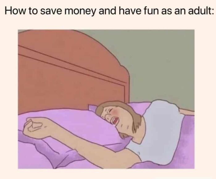 Hilariously relatable memes for adults: a cartoon image of a person screaming into a pillow, saving money and having fun as an adult.