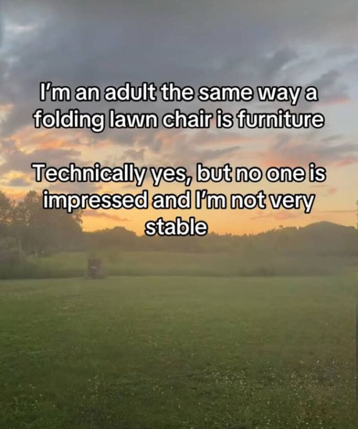 A relatable meme for adults showing text over a sunset and field, comparing being an adult to a folding lawn chair.