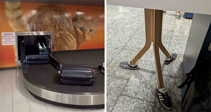 56 Funny And Weird Airport Moments That Could Make Travelers Forget They Even Have A Flight To Catch