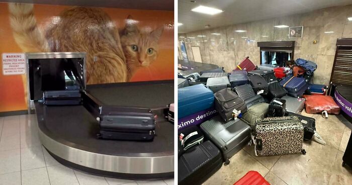56 Hilarious And Weird Things Spotted At Airports That Nobody Could Have Prepared For