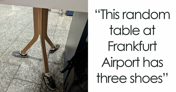 56 Hilarious And Weird Things Spotted At Airports That Nobody Could Have Prepared For