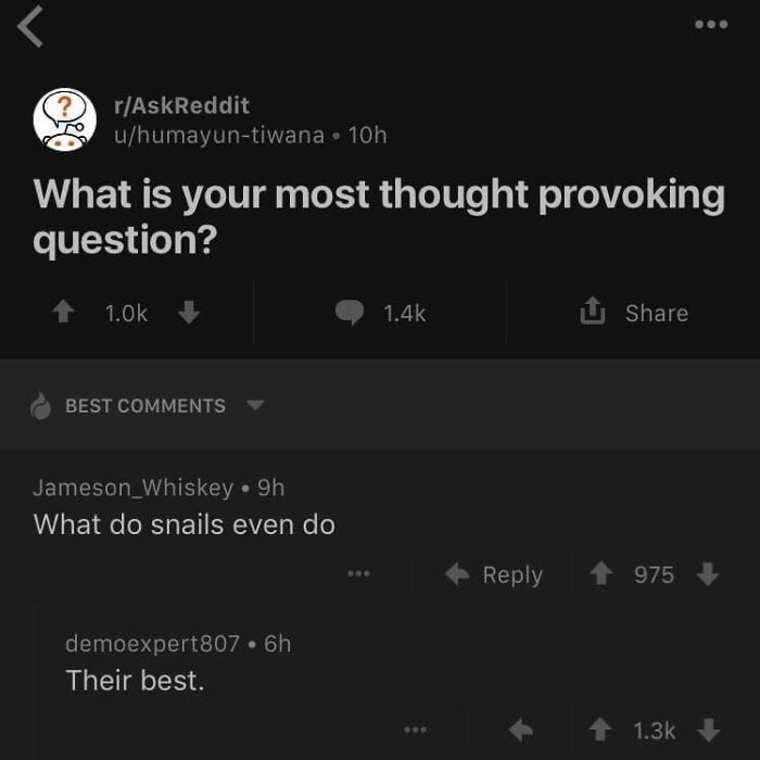 Screenshot of Reddit comments with a question about thought-provoking questions and a humorous answer about snails.