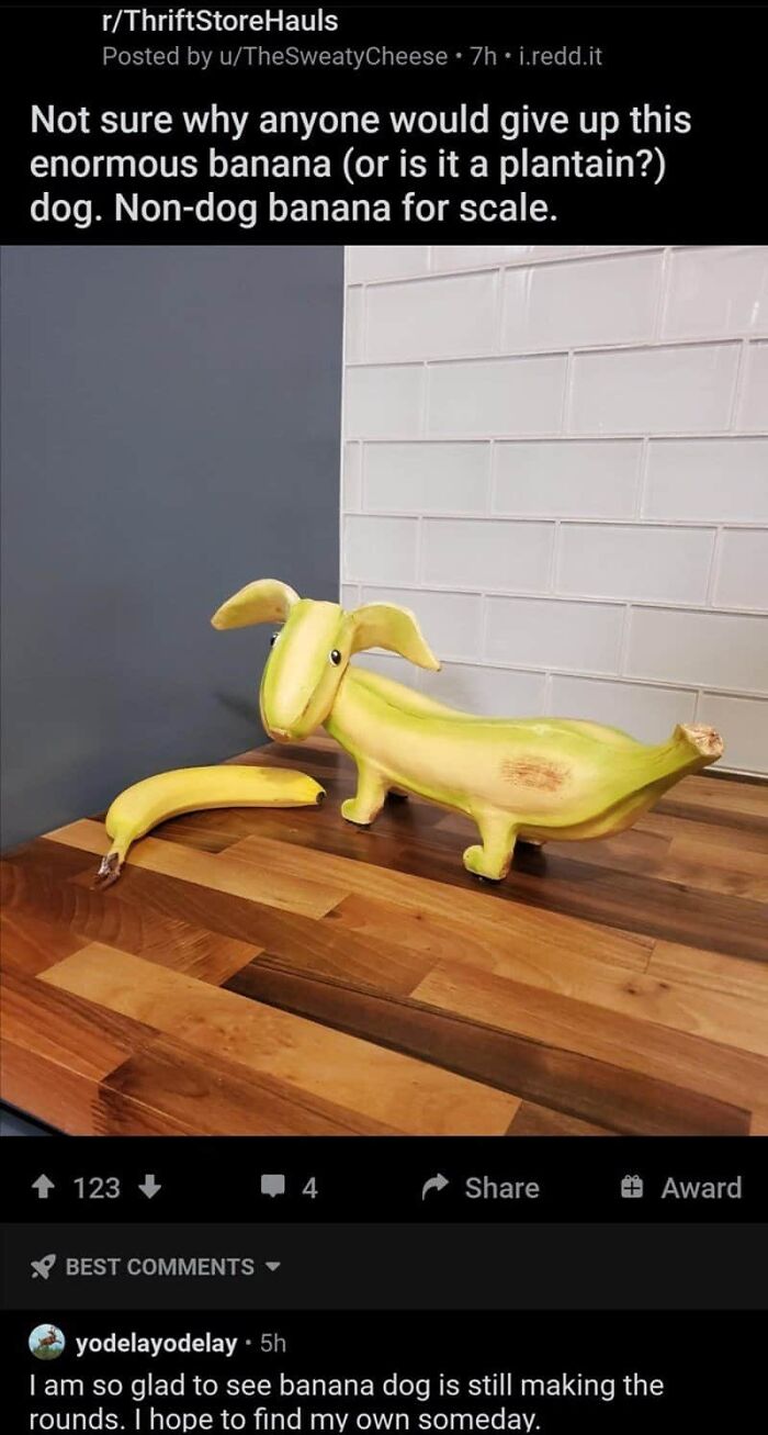 A Reddit post showing a banana carved into a dog, with a standard banana for scale, and a relevant comment. Read the comments!