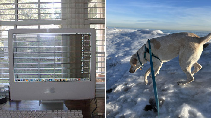 118 Unhinged Images That Made People Go “Hmmm”