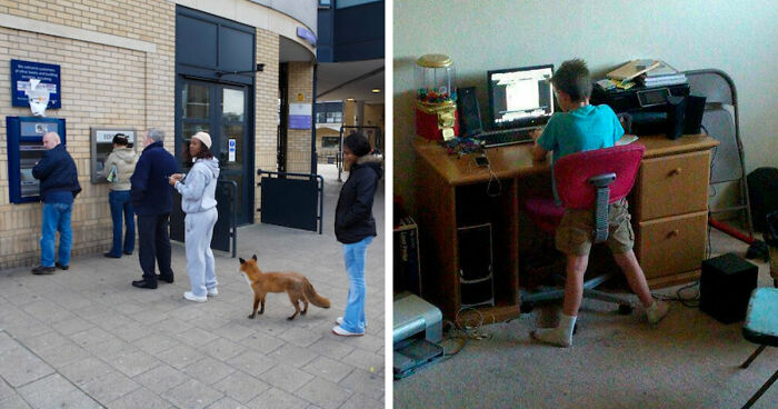 118 Pics That Make You Wonder What Happened Five Seconds Before The Photo Was Taken