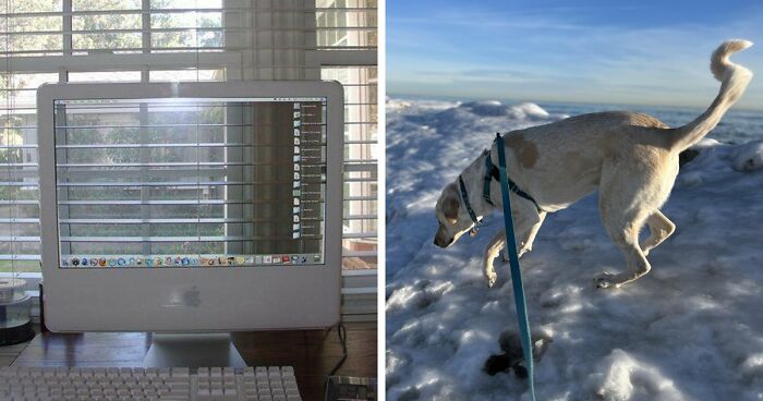 118 Unhinged Images That Made People Go “Hmmm”