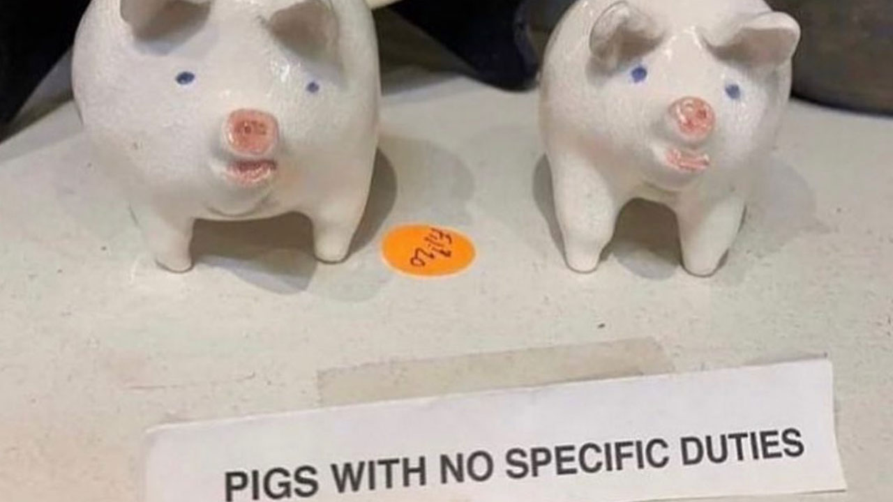 52 Funny Memes For Anyone Fluent In Sarcasm And Unhinged Humor