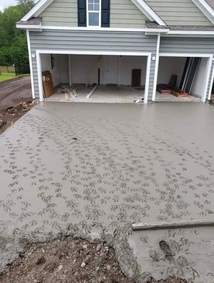 Fresh concrete driveway covered in bird footprints, an example of questionable home improvement project results.