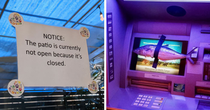67 Top Internet Posts That Show Why Humor Is The Best Escape From Daily Chaos