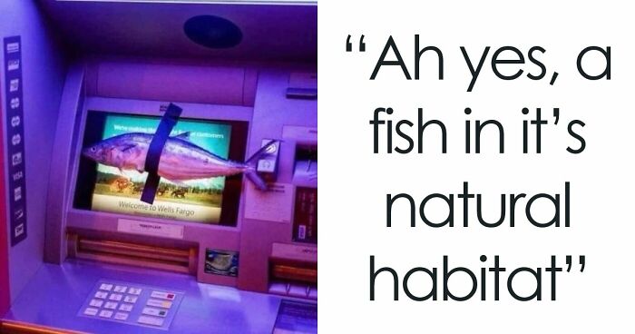 The Internet Is Still Going Strong And Is Serving You These 67 Hilarious Photos