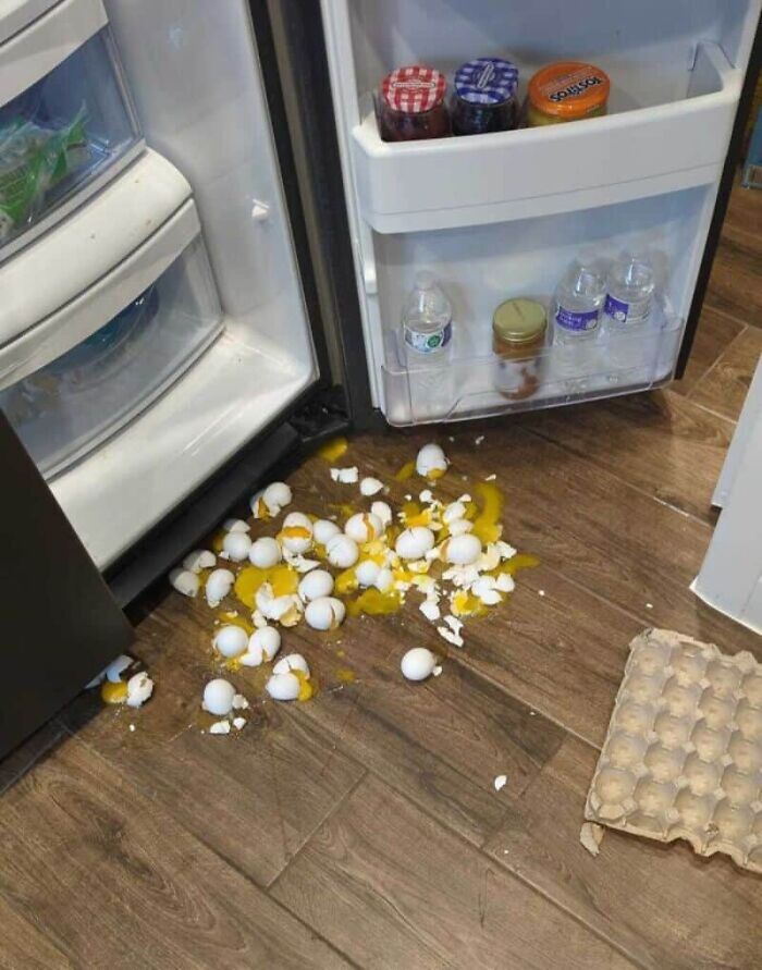 A major kitchen fail with dozens of broken eggs and shells spilled on the kitchen floor next to an open refrigerator.