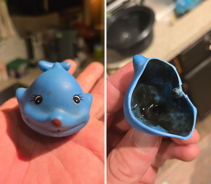 Mischievous kids often surprise parents; this bath toy reveals black mold inside when opened.