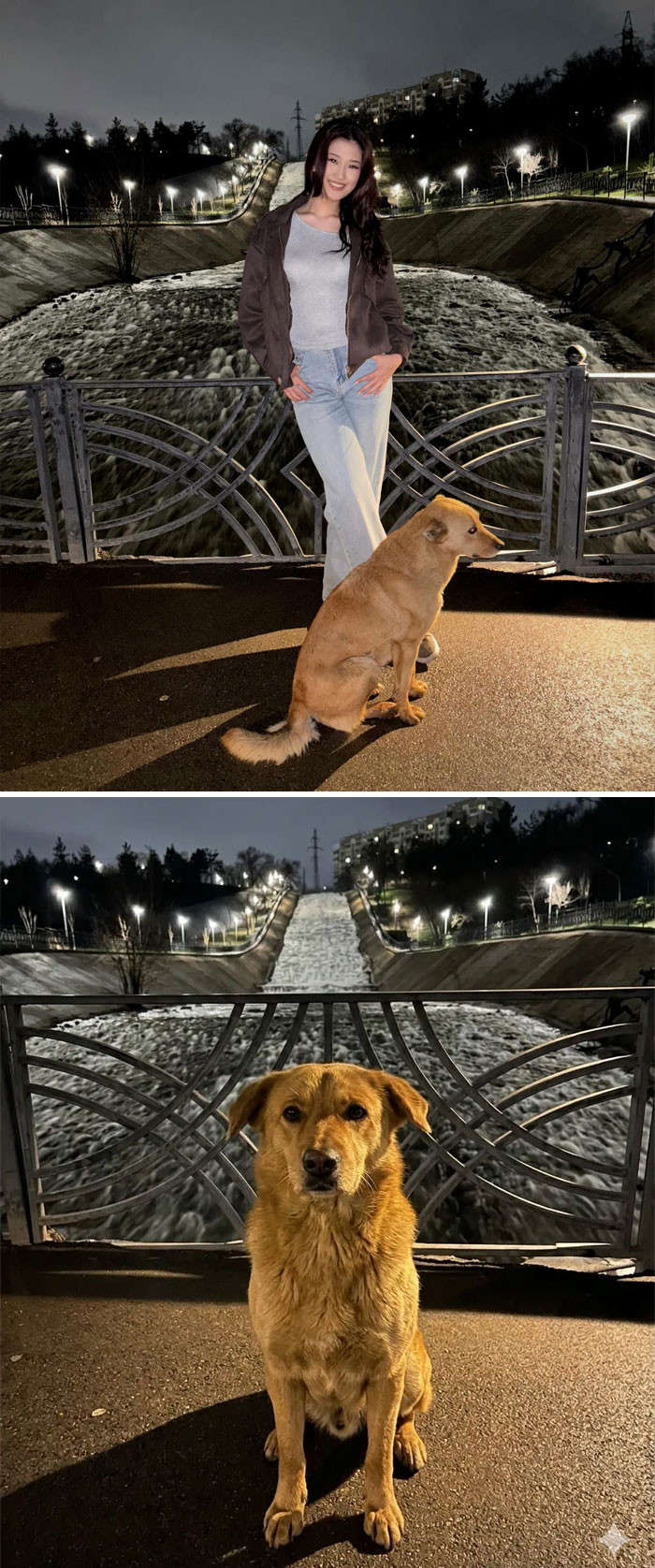 Photoshopper Please Remove The Dog
