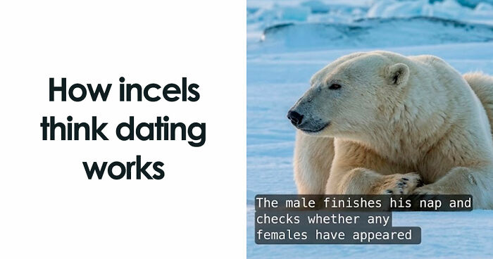 65 Memes That Are Funny Because They’re A Little Too Accurate