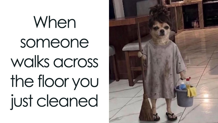 60 Memes For Anyone Who’s Ever Sighed Audibly At Absolutely Nothing