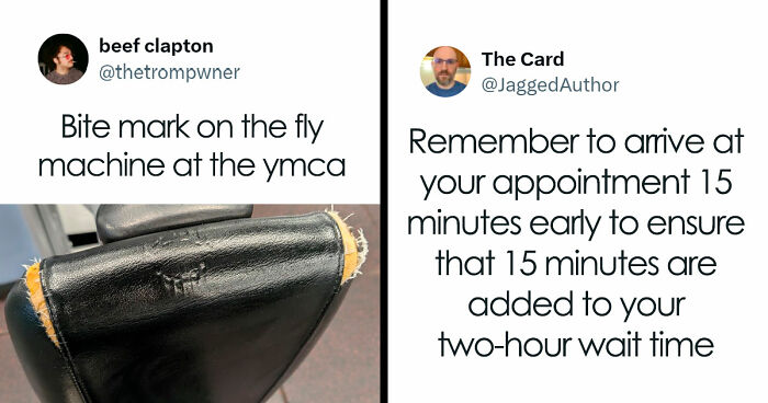 66 Funny Tweets That Are A Bit Unhinged But So Is Life (New Pics)