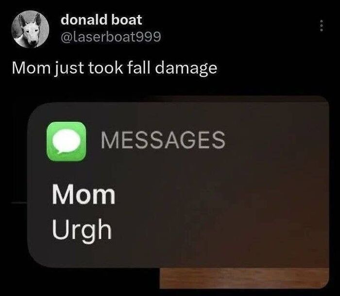 Twitter post showing mom texting Urgh after fall damage joke