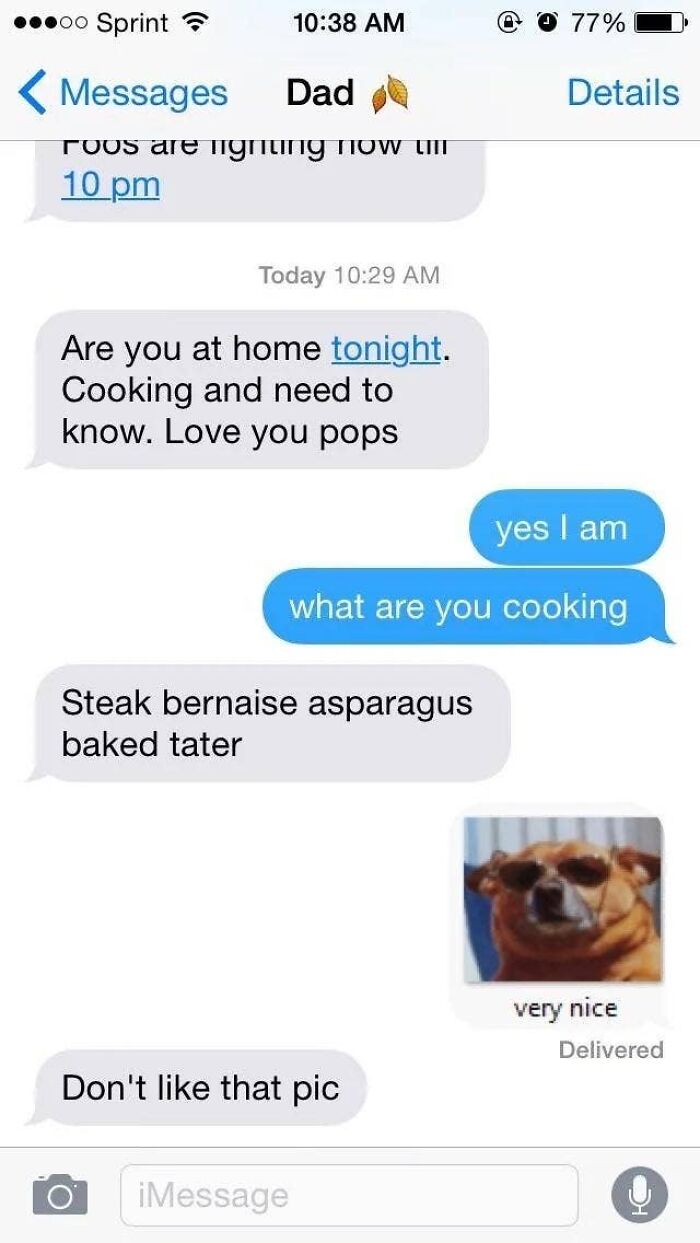 A text conversation with a dad about dinner plans, ending with the dad not liking a dog picture, showcasing hilarious texts.