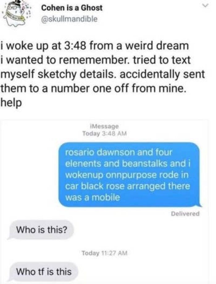 A screenshot of hilarious texts where someone accidentally sent a strange dream text to the wrong number.