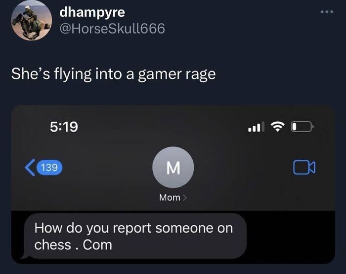 A screenshot of hilarious texts showing a mom asking how to report someone on Chess.com, implying gamer rage.