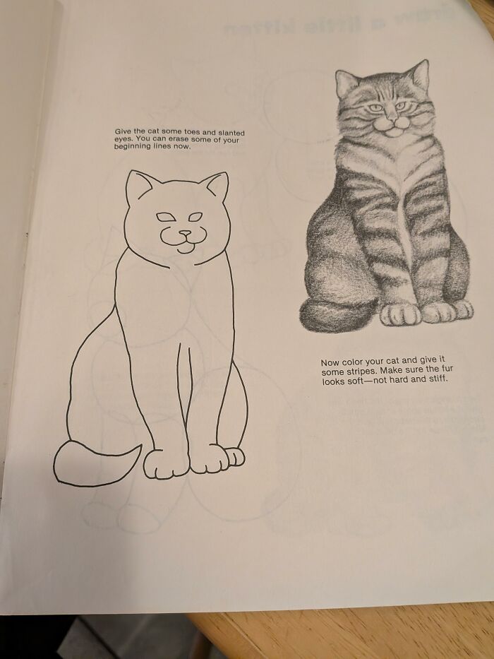 Cat drawing instructions with steps to add toes, eyes, and stripes