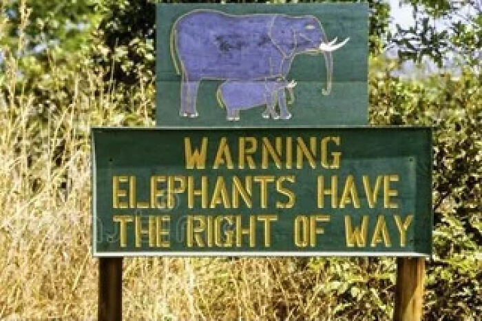 A green road sign with elephants painted on top, illustrating signs from around the world.