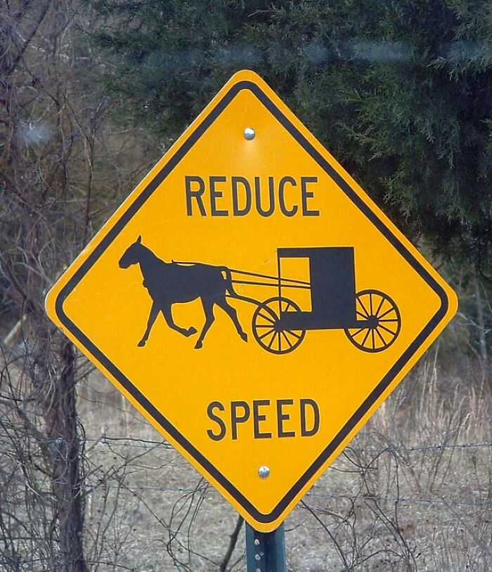 A yellow diamond-shaped road sign showing a horse and buggy silhouette with the text Reduce Speed.
