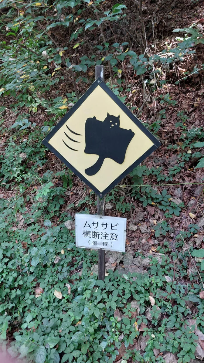 A diamond-shaped warning sign with a flying squirrel graphic, indicating a wildlife crossing mistake.