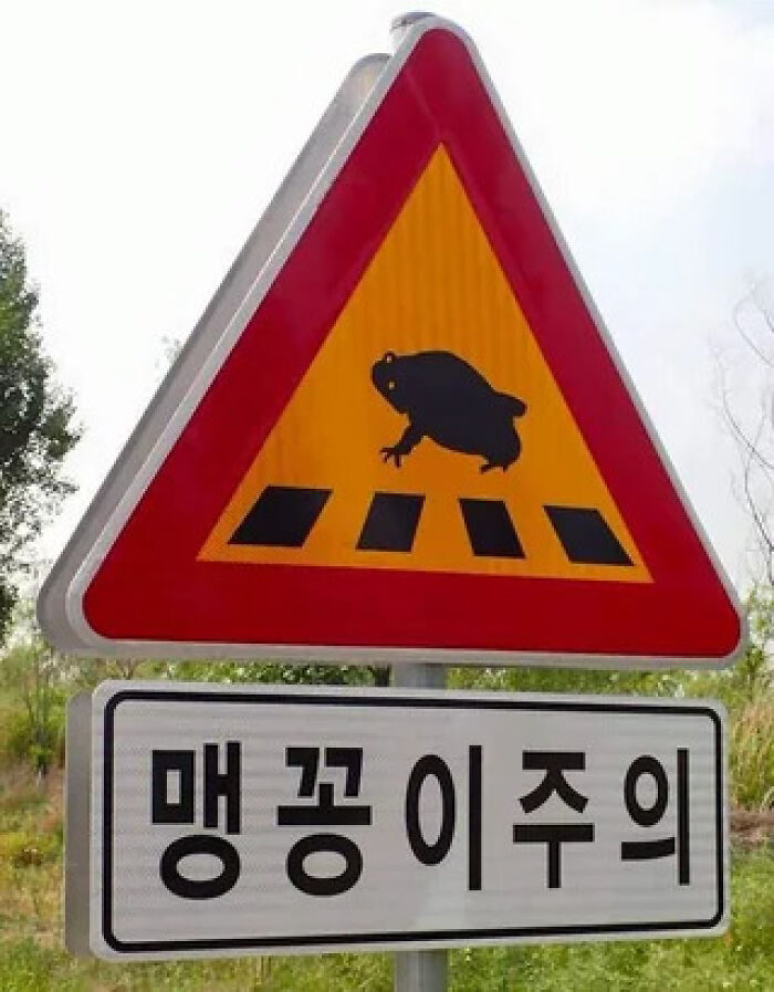 Korean crossing sign with a silhouette of a frog, showing someone made a mistake.