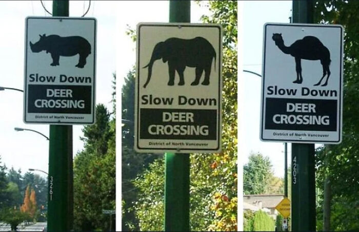 A funny mistake on road signs featuring a rhino, an elephant, and a camel labeled as deer crossing.