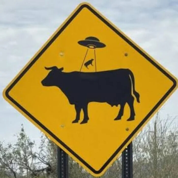 A yellow caution sign showing a cow being abducted by a UFO, depicting a funny sign mistake.